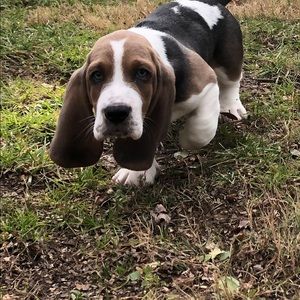 Meet your Posher, Grant